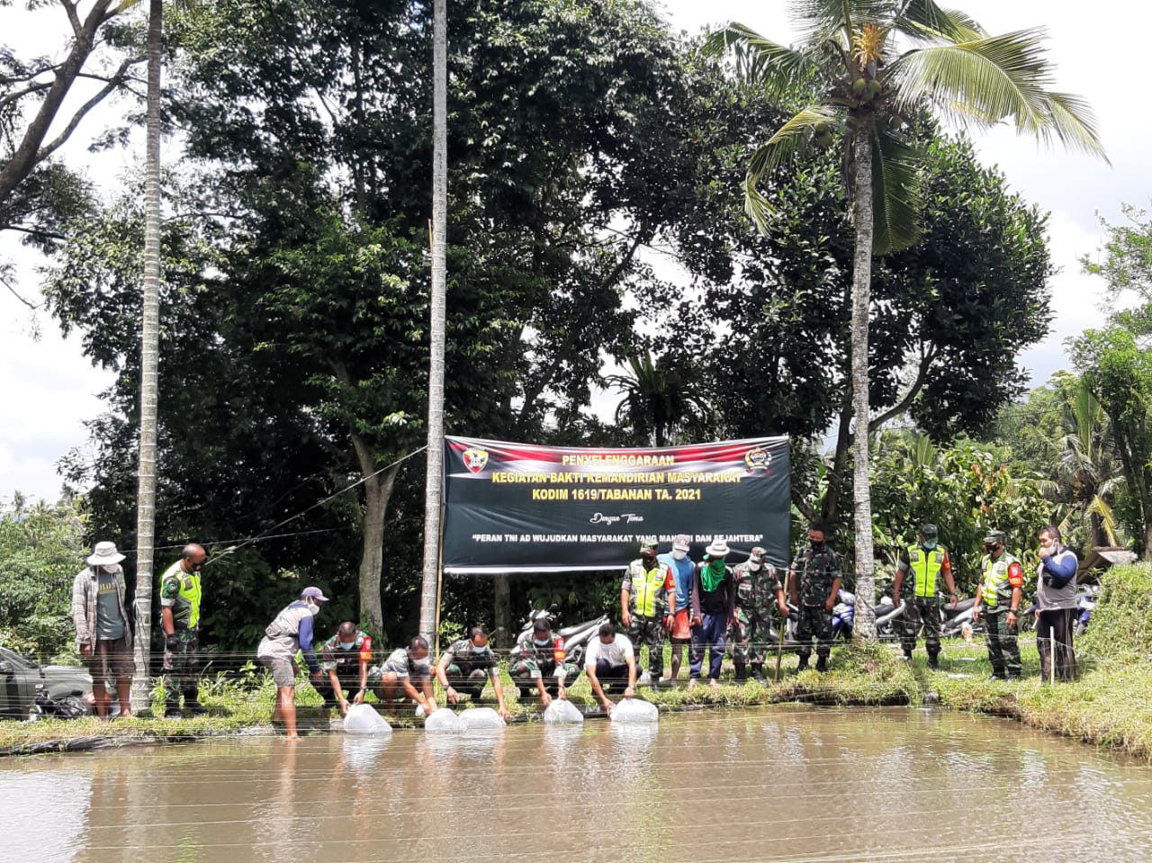 Kodim 1619/Tabanan Sebar Benih Ikan di Kelompok Budidaya Ikan Desa Babahan Tabanan.
