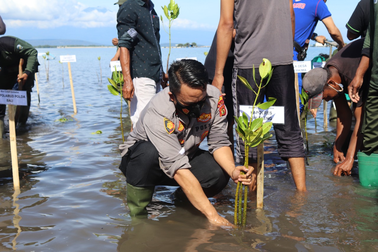 Persiapan KTT G.20 Tahun 2022 Kapolres Buleleng Melakukan Penanaman 1.000 Mangrove.