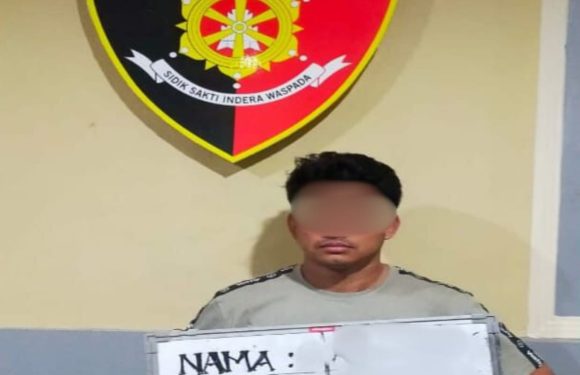 Tinggalkan Mobil di Bengkel, Toyota Alphard Digondol Maling, Dua Pelaku Dibekuk Tim Opsnal Polsek Dentim