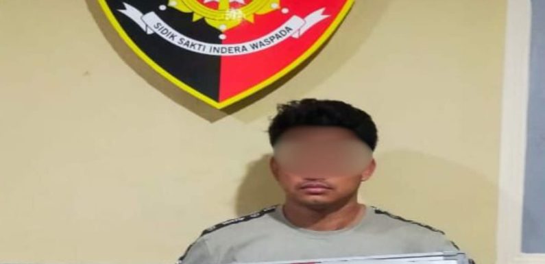 Tinggalkan Mobil di Bengkel, Toyota Alphard Digondol Maling, Dua Pelaku Dibekuk Tim Opsnal Polsek Dentim