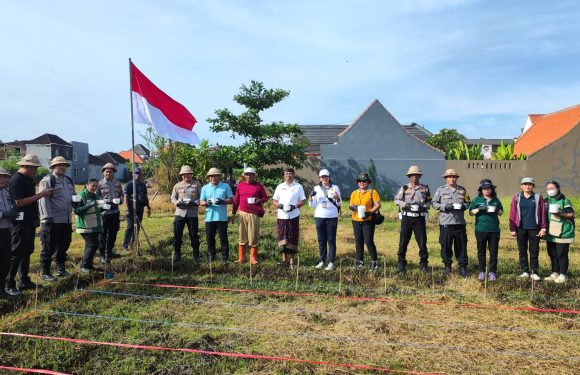 Polsek Denpasar Selatan Dukung Ketahanan Pangan Melalui Penanaman Jagung di Sanur Kauh
