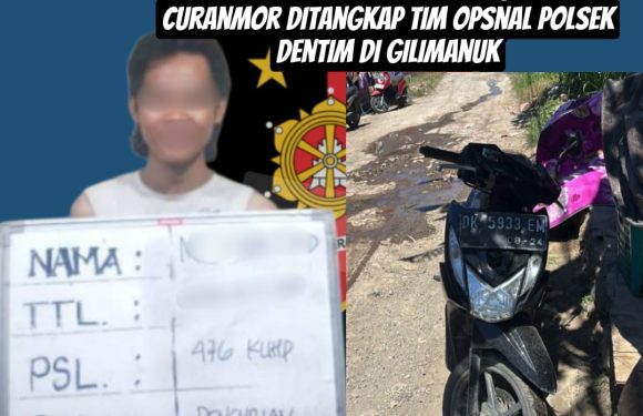 Kabur Bawa Motor Majikan, Pelaku Curanmor Ditangkap Tim Opsnal Polsek Dentim di Gilimanuk