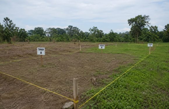Kenali Prosedur dan Syarat Pemisahan Bidang Tanah